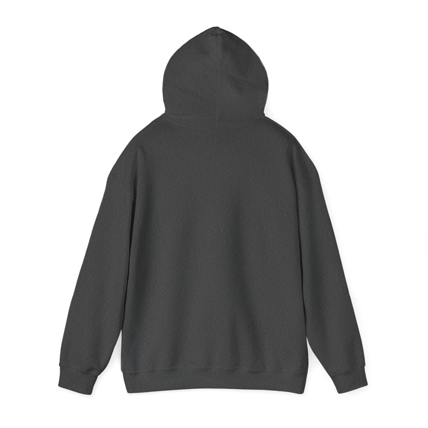 Seasonal Santa Hoodie